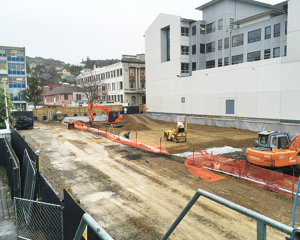 Eccles Building Asbestos Removal and Decontamination Dunedin